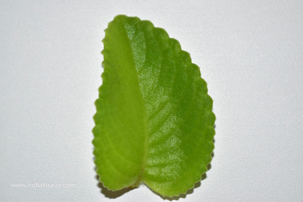 If you have celery, then take a carom / ajwain leaf.